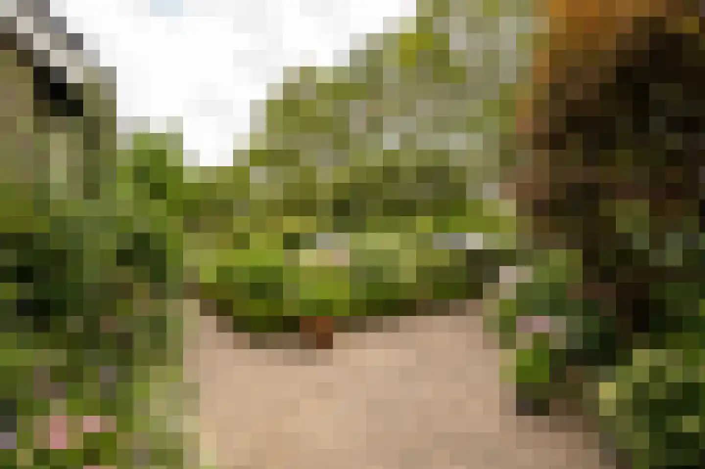 Spijkse Kweldijk 98 Spijk thumbnail 54