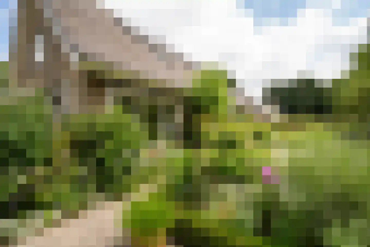 Spijkse Kweldijk 98 Spijk thumbnail 55