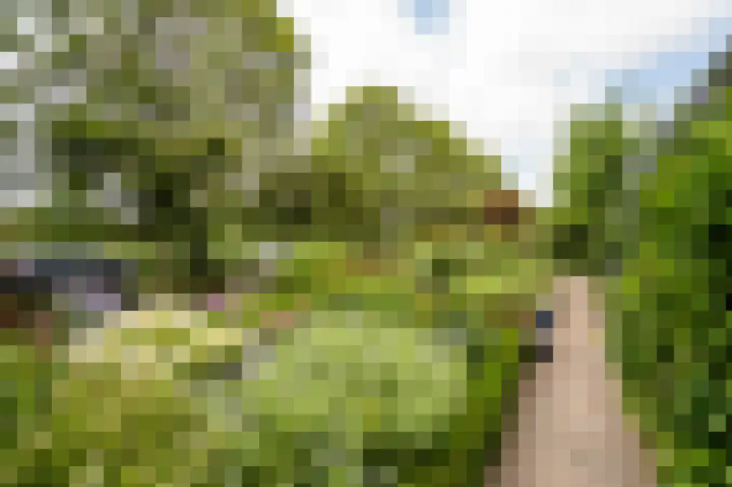 Spijkse Kweldijk 98 Spijk thumbnail 56