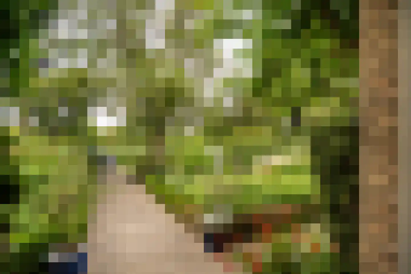 Spijkse Kweldijk 98 Spijk thumbnail 57