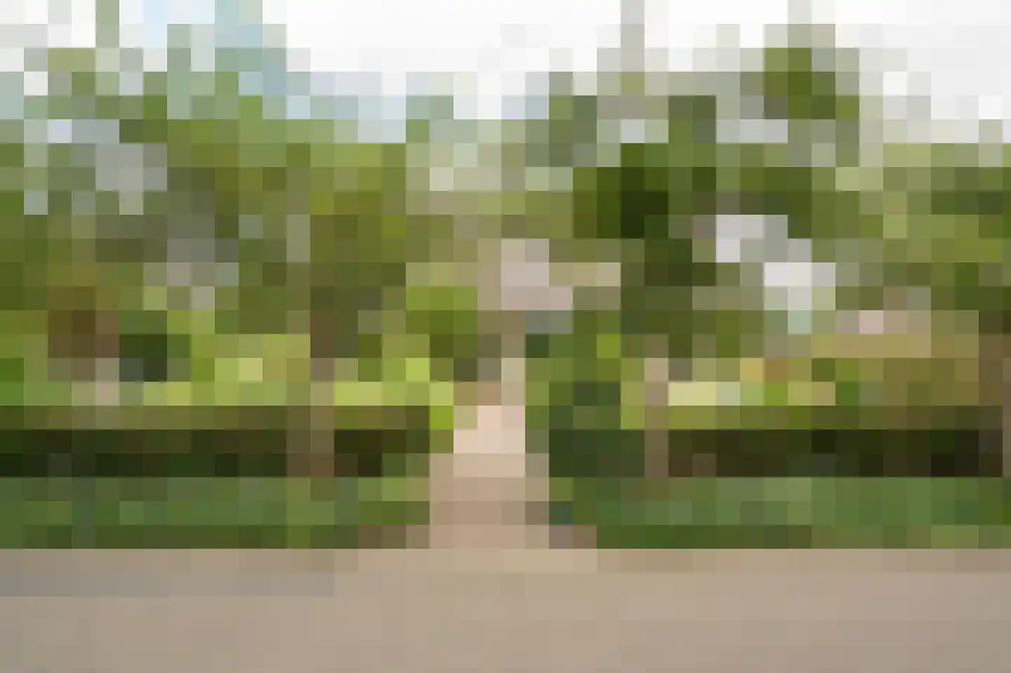 Spijkse Kweldijk 98 Spijk thumbnail 60
