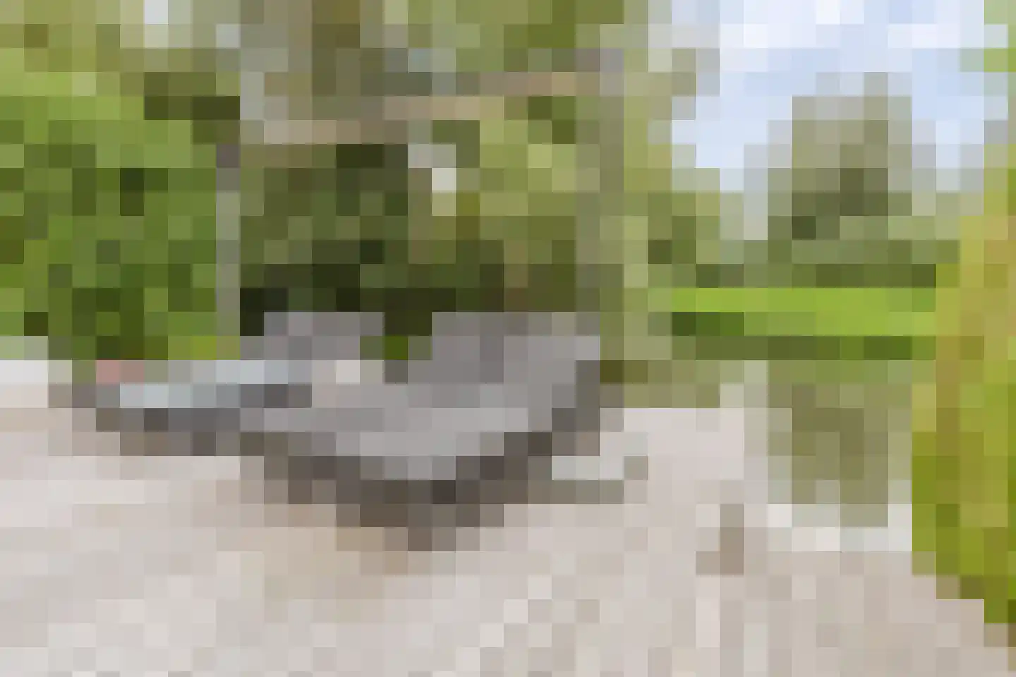 Spijksedijk 13 Gorinchem thumbnail 21