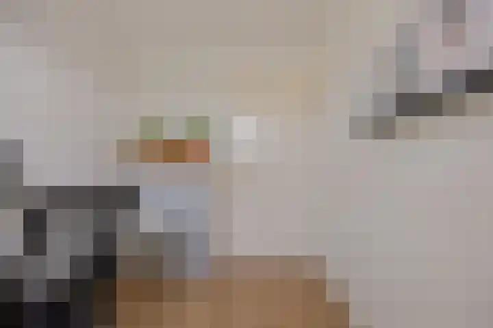 Spijkstra-Bruijnhof 14 Lent thumbnail 17