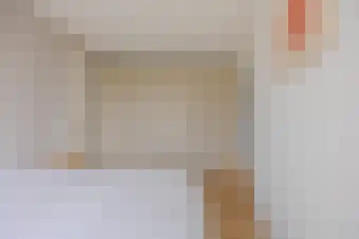 Spijkstra-Bruijnhof 14 Lent thumbnail 20