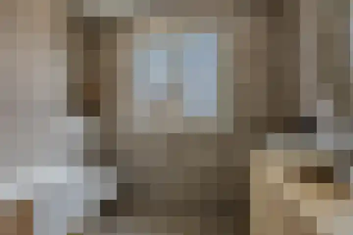 Spijkstra-Bruijnhof 14 Lent thumbnail 27