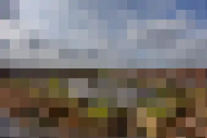 Spijkstra-Bruijnhof 14 Lent thumbnail 32