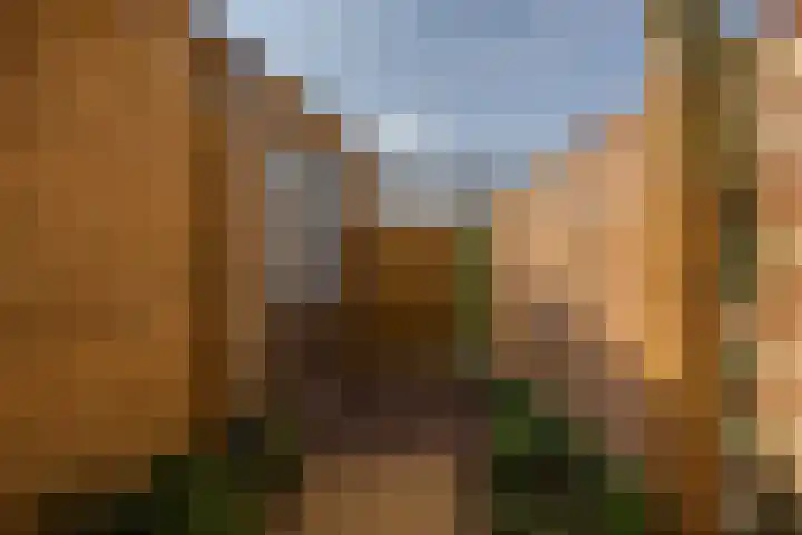Spijkstra-Bruijnhof 14 Lent thumbnail 35
