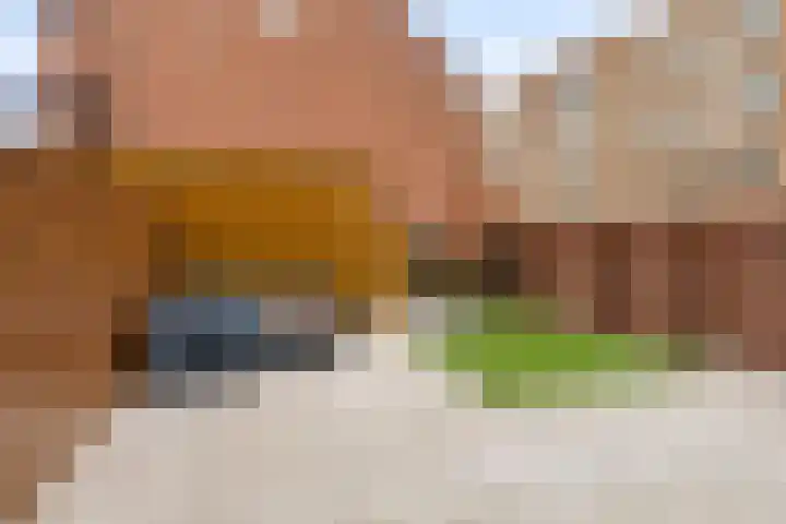 Spijkstra-Bruijnhof 38 Lent thumbnail 43