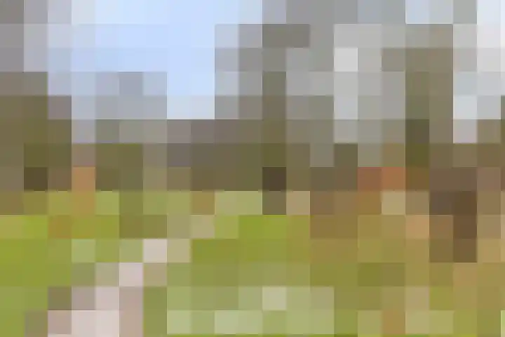 Spijkstra-Bruijnhof 38 Lent thumbnail 45