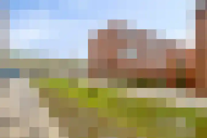 Spijkstra-Bruijnhof 38 Lent thumbnail 48