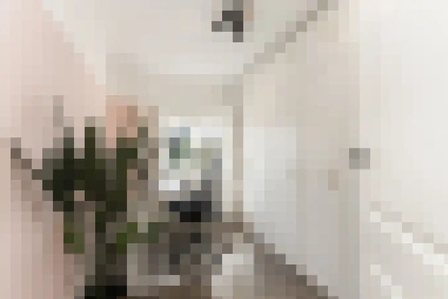 Spijksweer 32 Werkendam thumbnail 47