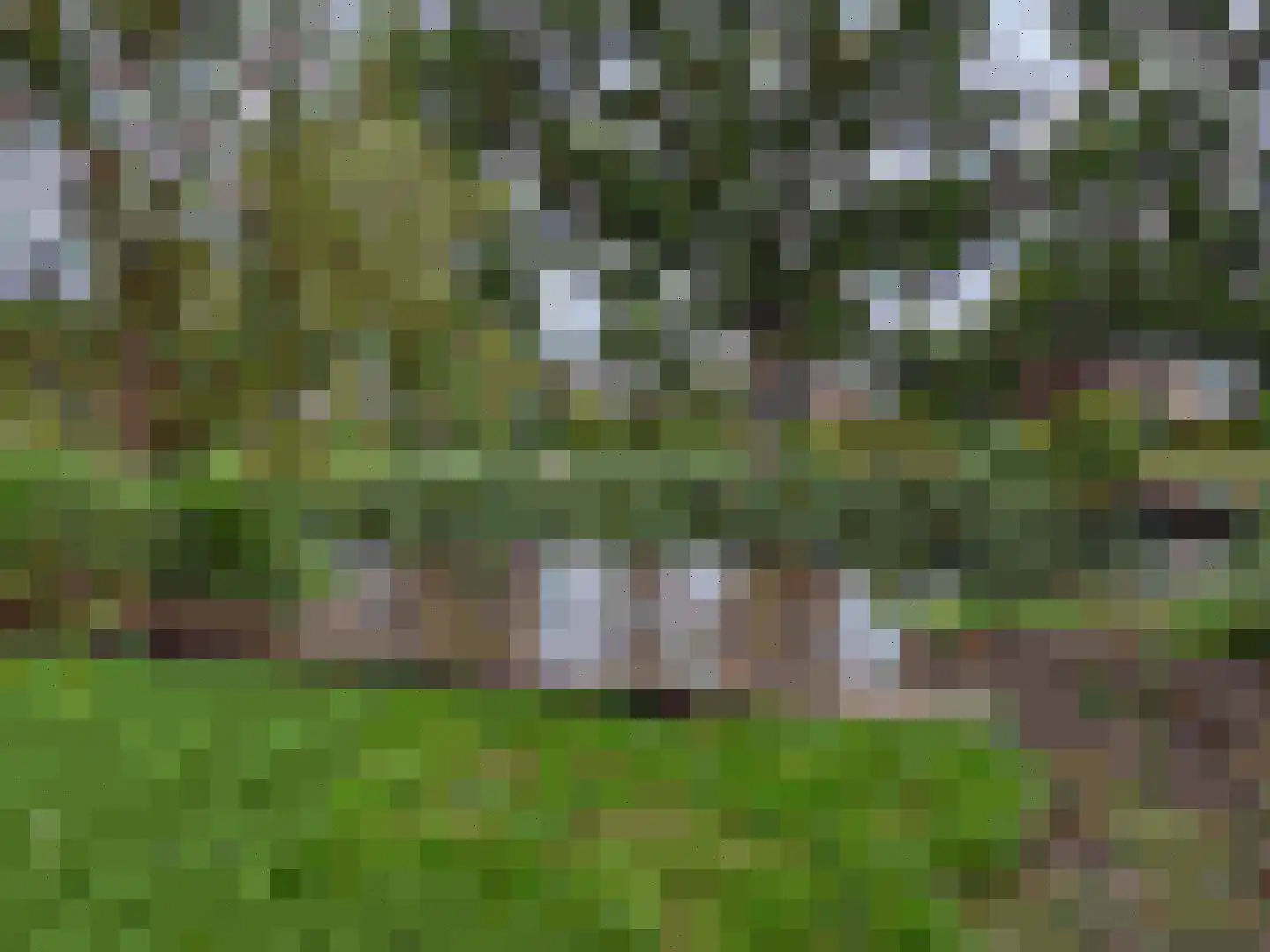Spijkweg 15 122 Biddinghuizen thumbnail 12