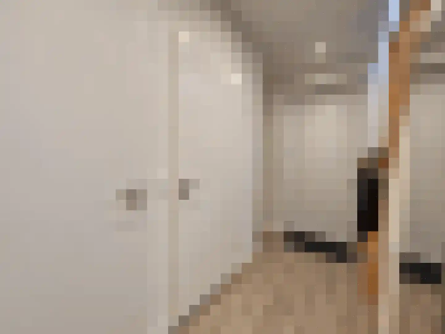 Spijkweg 15 122 Biddinghuizen thumbnail 14