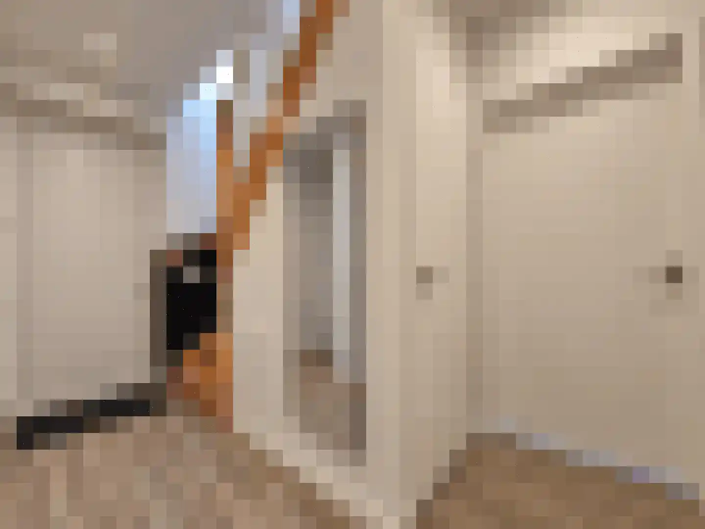 Spijkweg 15 122 Biddinghuizen thumbnail 15