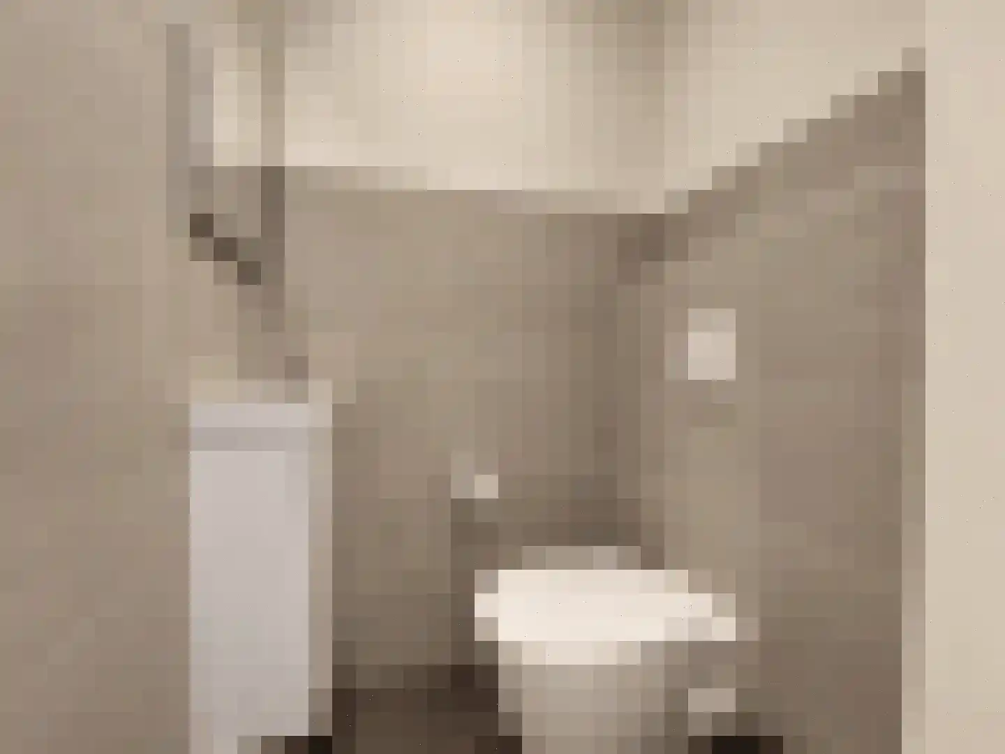 Spijkweg 15 122 Biddinghuizen thumbnail 17