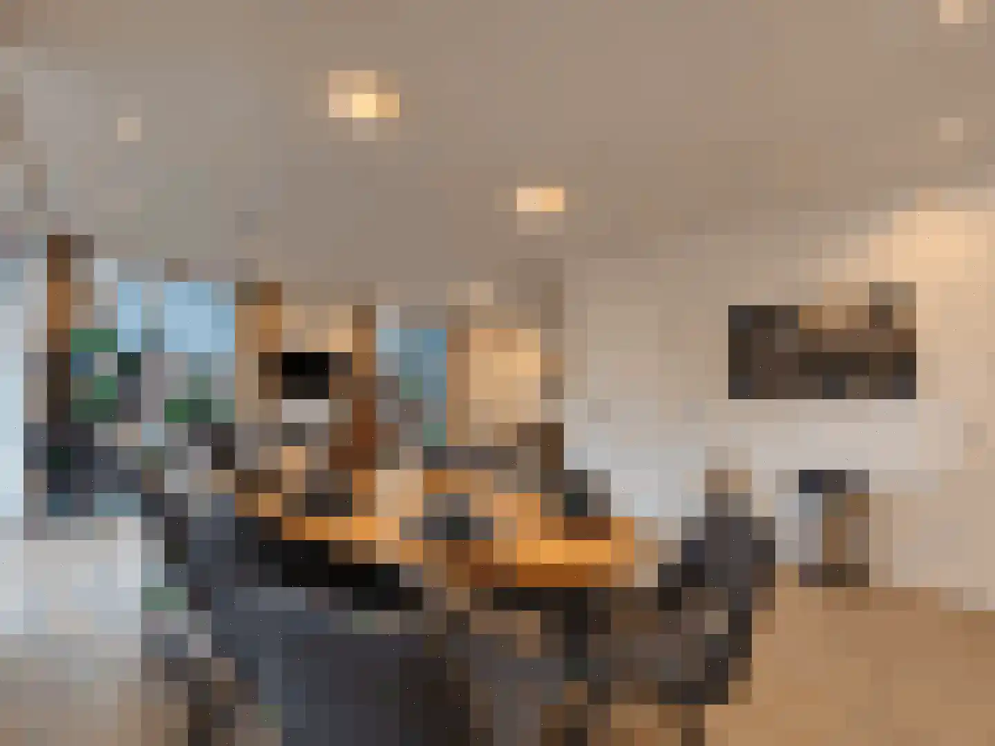 Spijkweg 15 122 Biddinghuizen thumbnail 31