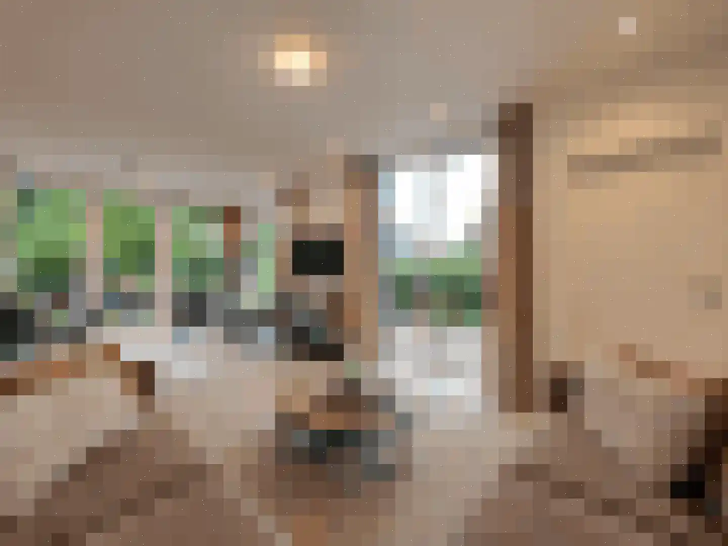 Spijkweg 15 122 Biddinghuizen thumbnail 34
