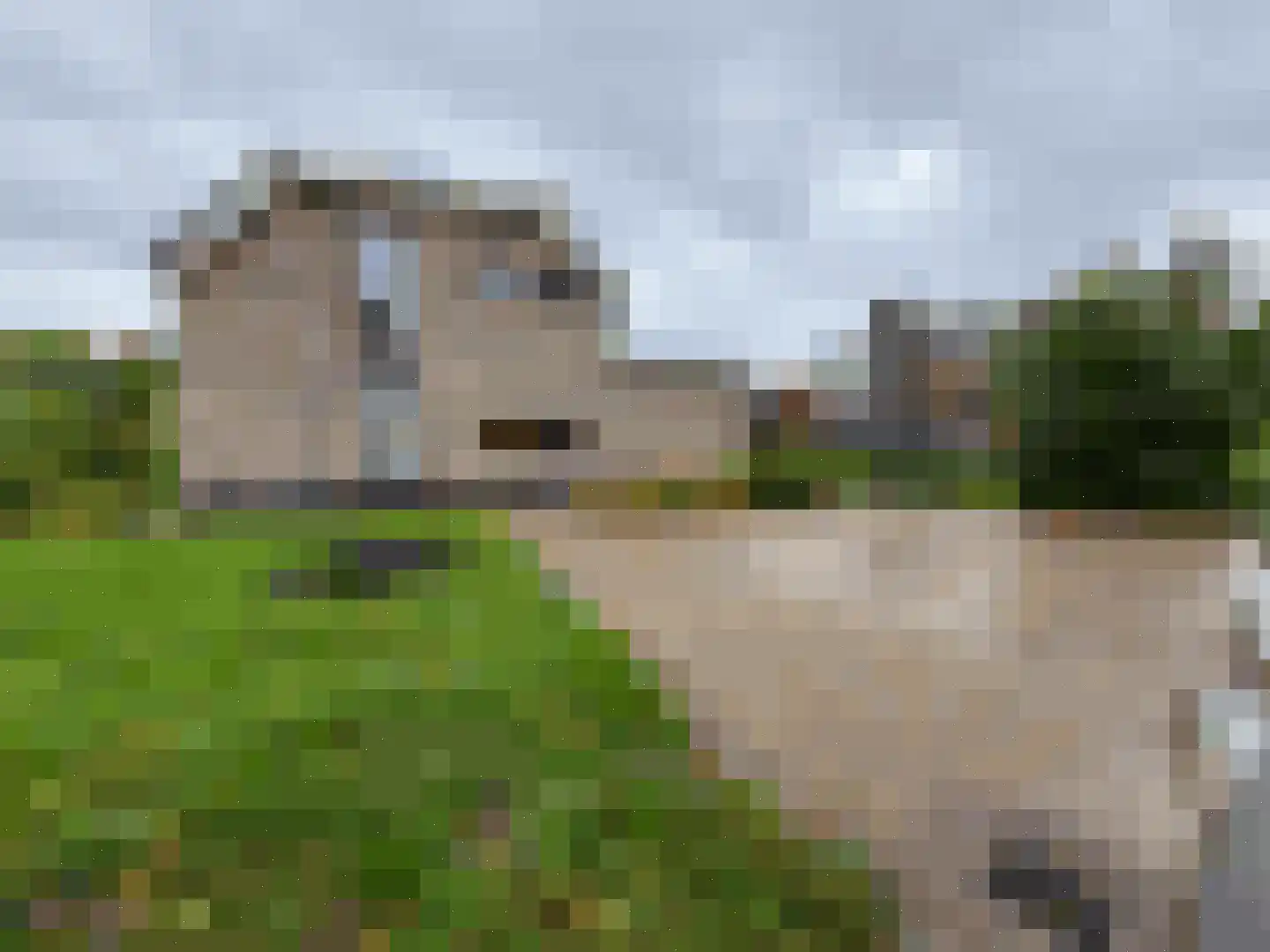 Spijkweg 15 122 Biddinghuizen thumbnail 4