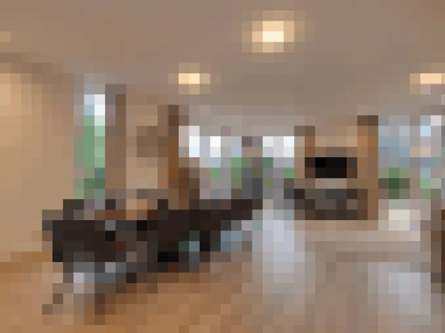 Spijkweg 15 122 Biddinghuizen thumbnail 44