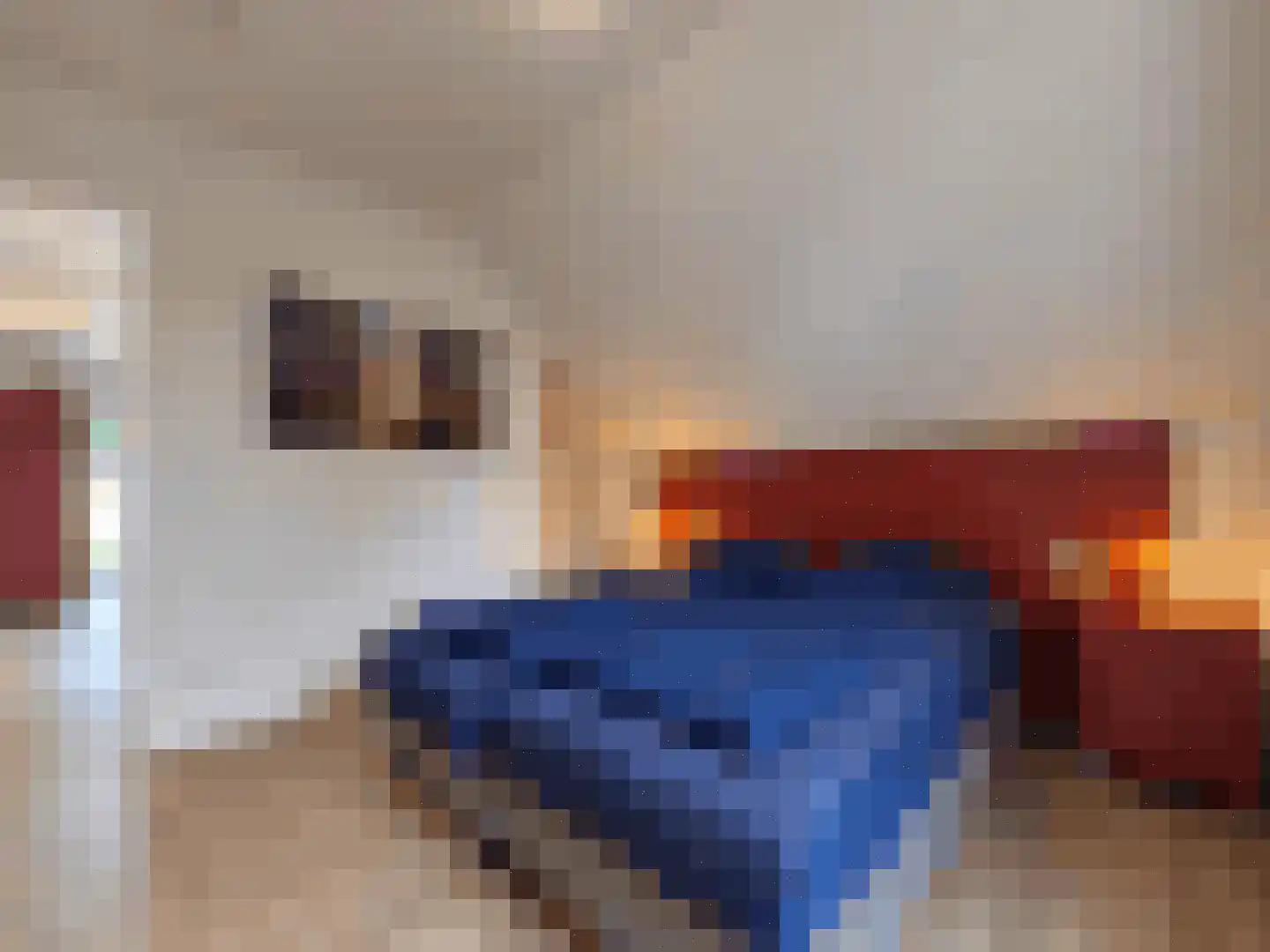 Spijkweg 15 122 Biddinghuizen thumbnail 68