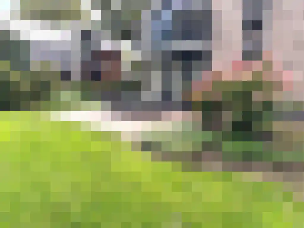 Spijkweg 15 p137 Biddinghuizen thumbnail 33