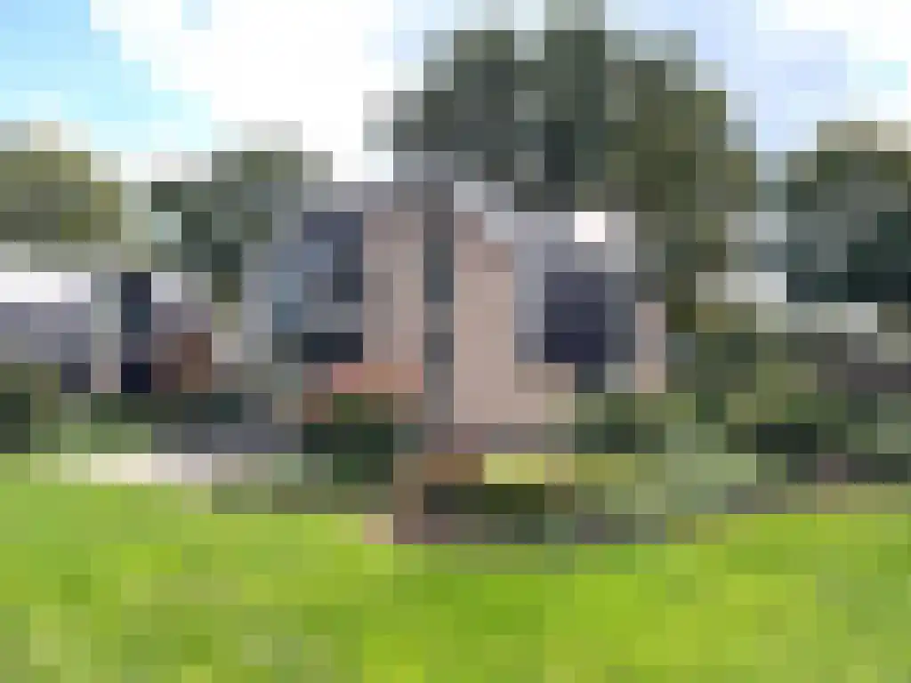 Spijkweg 15 p137 Biddinghuizen thumbnail 5