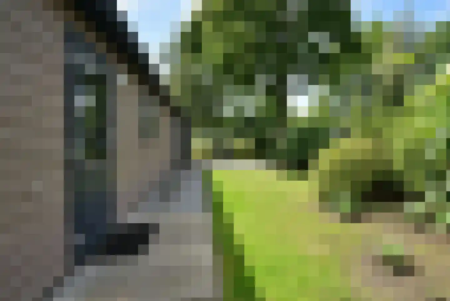 Spijkweg 15 p232 Biddinghuizen thumbnail 19
