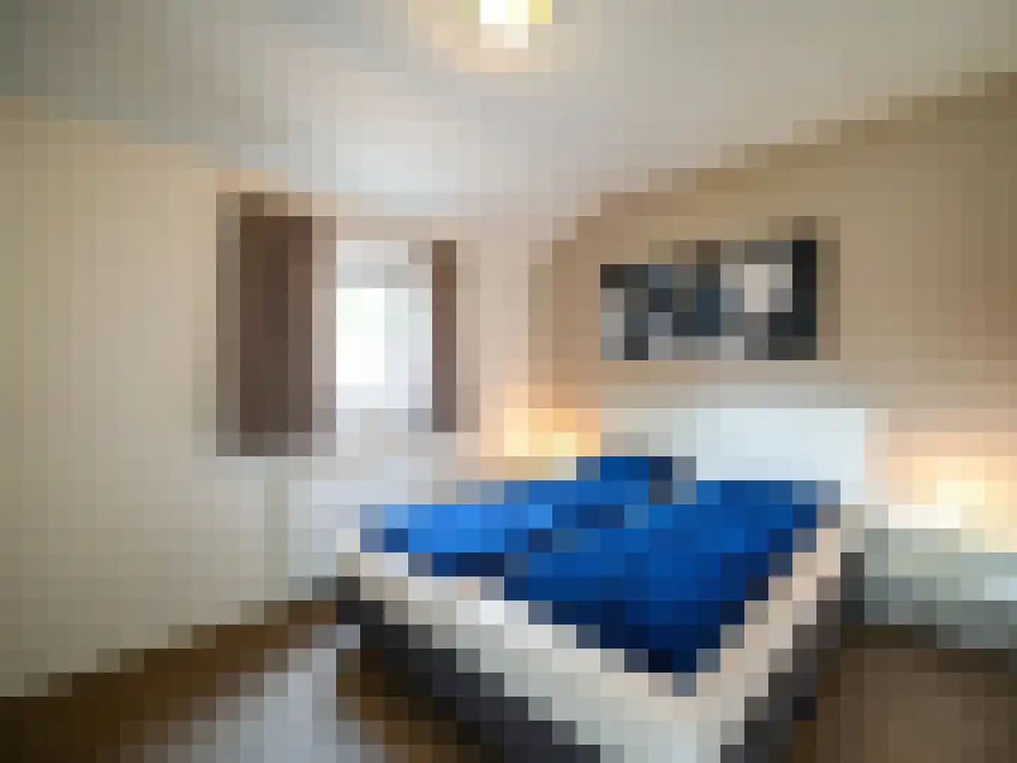 Spijkweg 15 p307 Biddinghuizen thumbnail 10