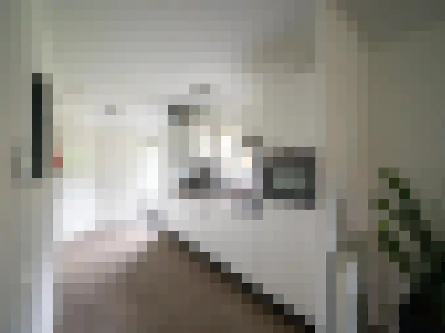 Spijkweg 15 p307 Biddinghuizen thumbnail 7