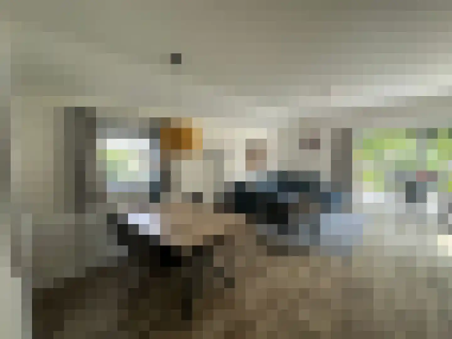 Spijkweg 15 p564 Biddinghuizen thumbnail 6
