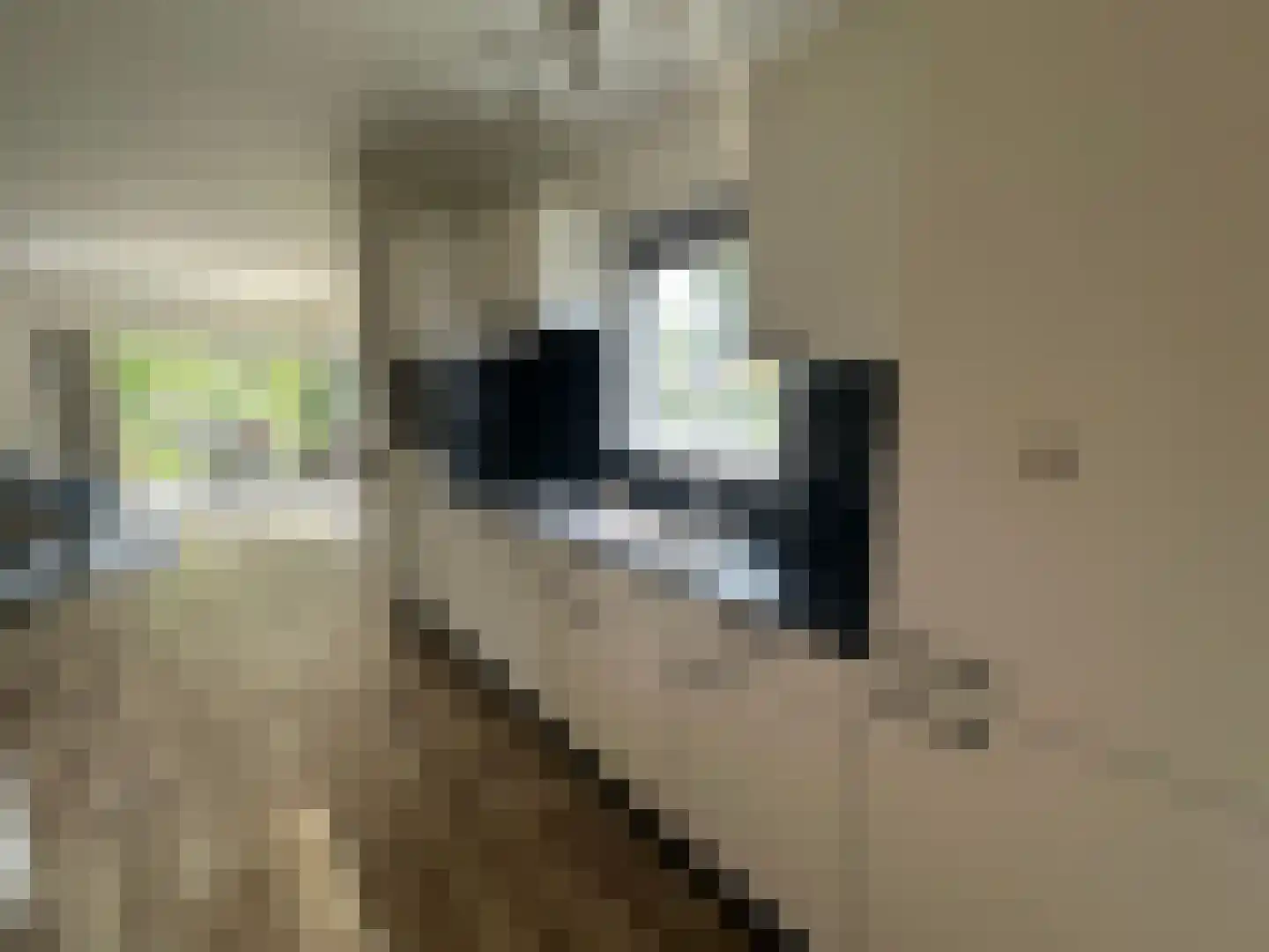 Spijkweg 15 p564 Biddinghuizen thumbnail 9