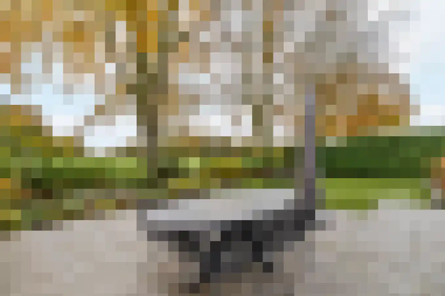 Spijkweg 15 p608 Biddinghuizen thumbnail 29