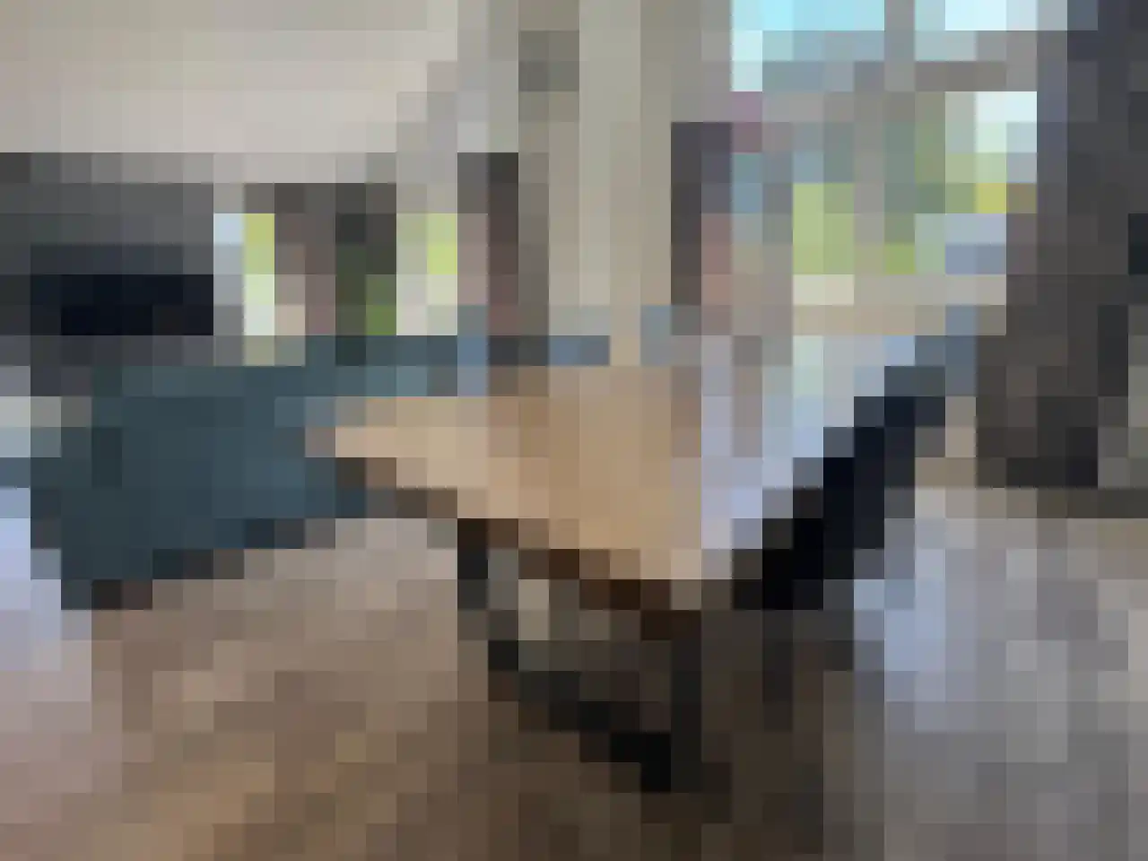 Spijkweg 15 U12 Biddinghuizen thumbnail 10