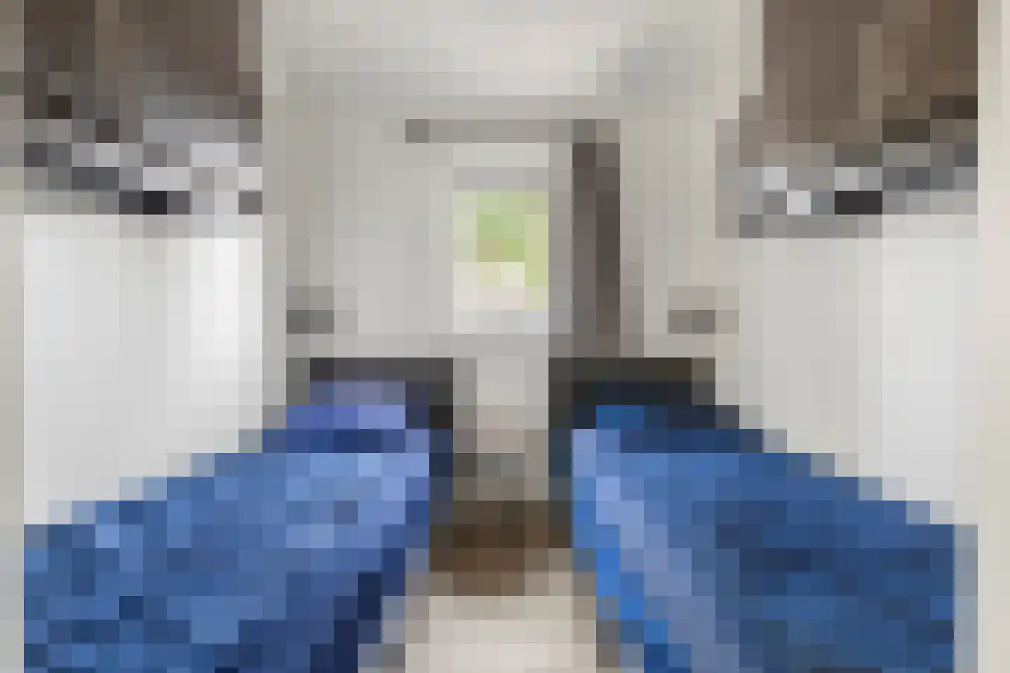 Spijkweg 15 U12 Biddinghuizen thumbnail 10