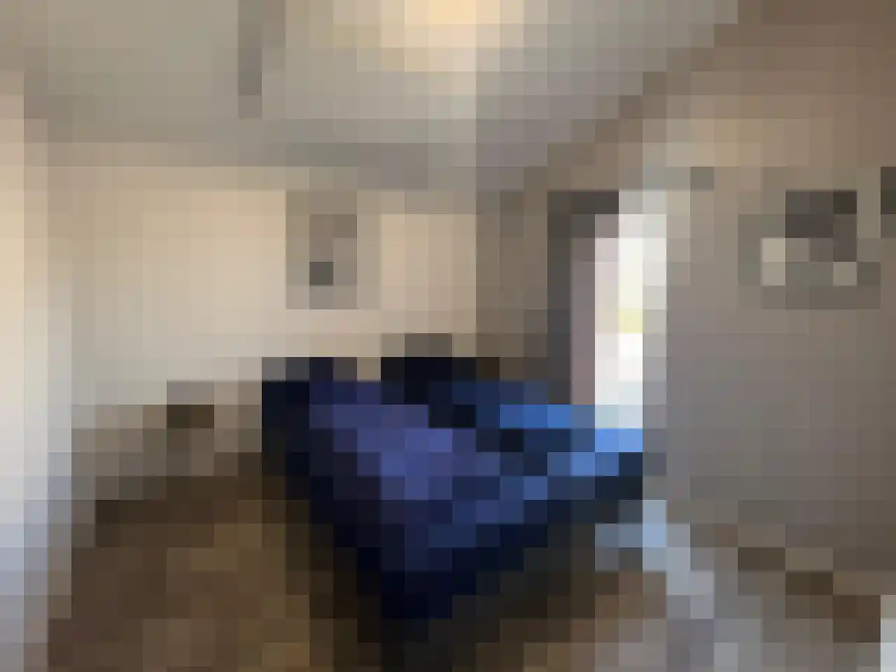 Spijkweg 15 U12 Biddinghuizen thumbnail 16