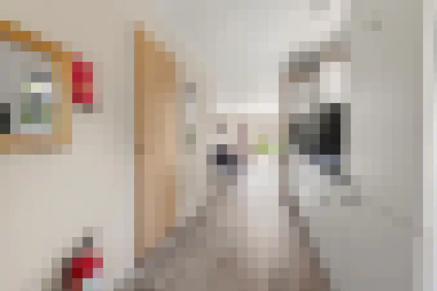 Spijkweg 15 U12 Biddinghuizen thumbnail 17