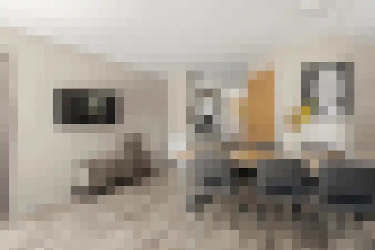 Spijkweg 15 U12 Biddinghuizen thumbnail 4