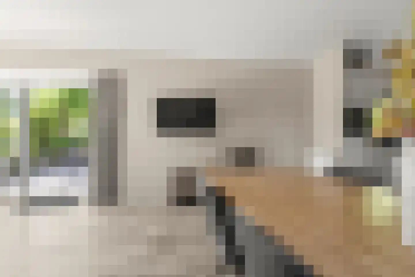 Spijkweg 15 U12 Biddinghuizen thumbnail 5