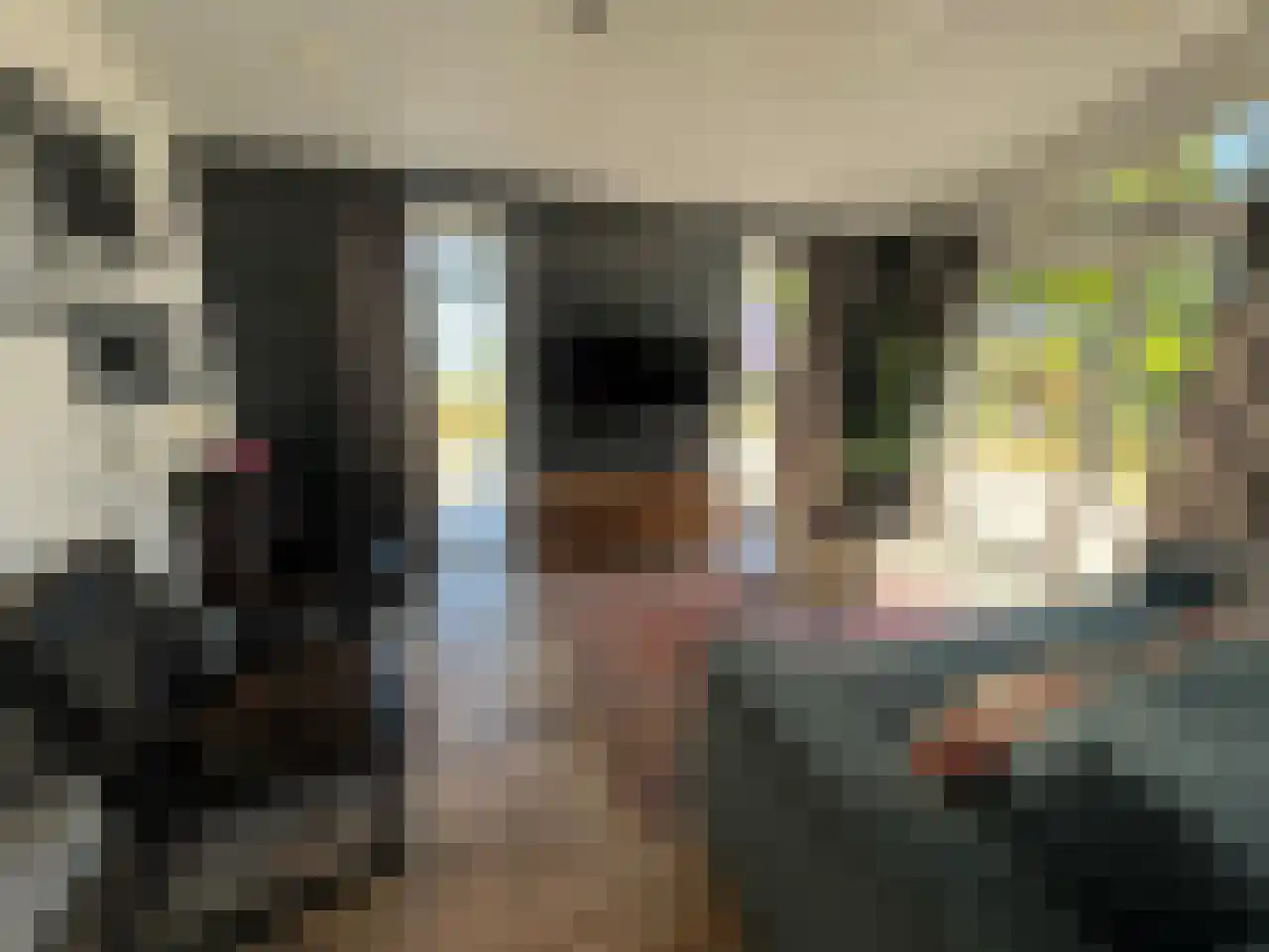 Spijkweg 15 U12 Biddinghuizen thumbnail 7