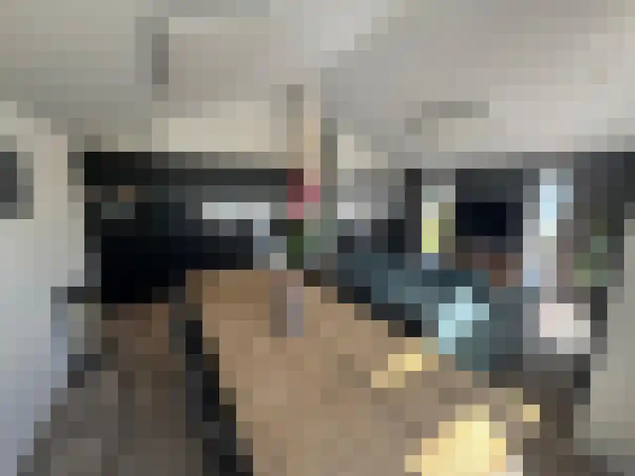 Spijkweg 15 U12 Biddinghuizen thumbnail 8
