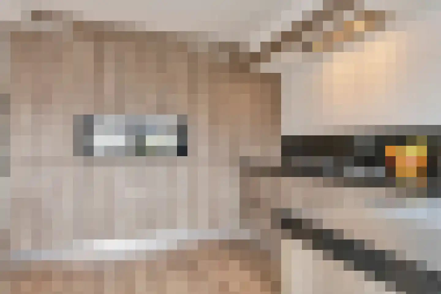 Spijt 2 Sint-Michielsgestel thumbnail 15