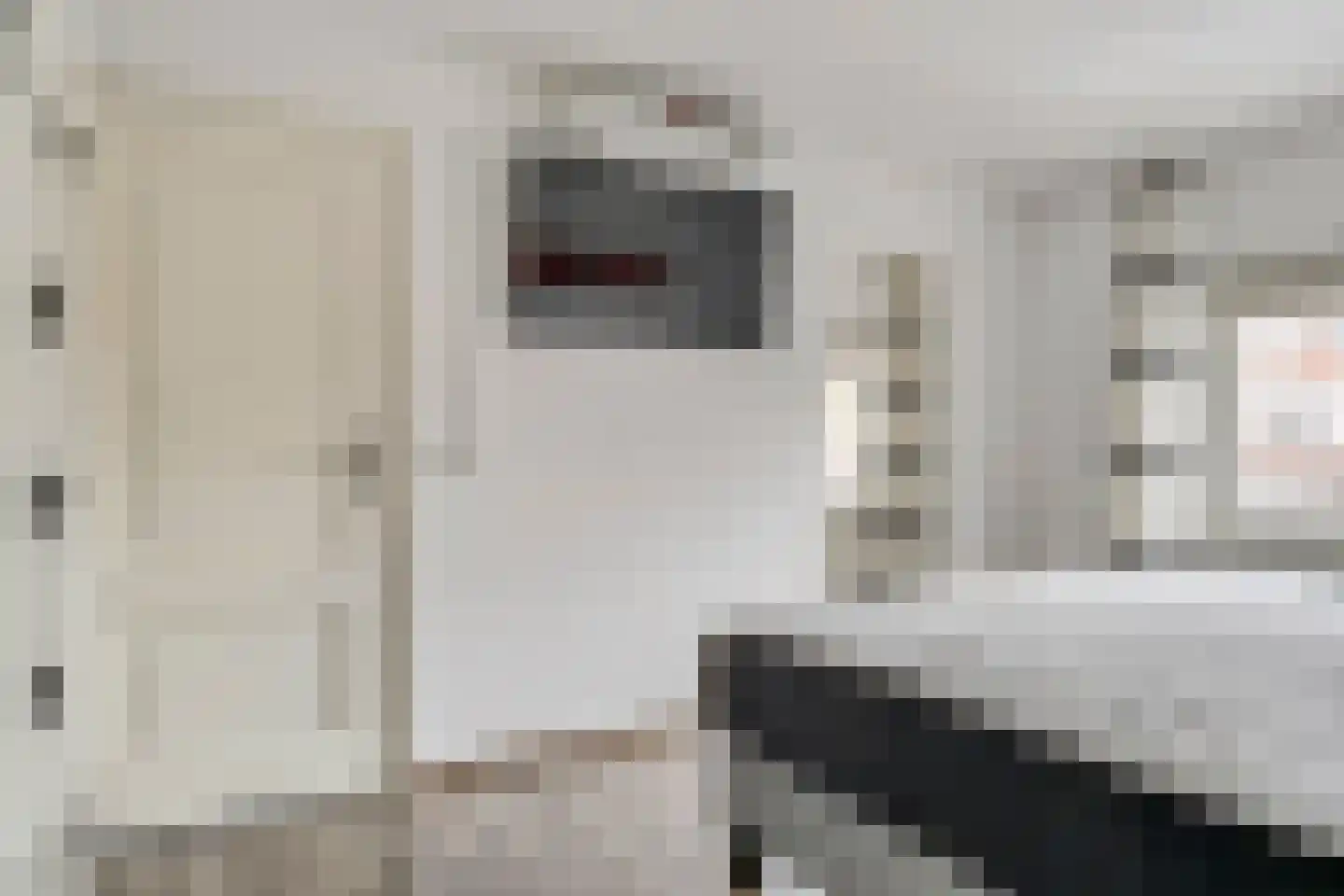 Spijt 2 Sint-Michielsgestel thumbnail 27