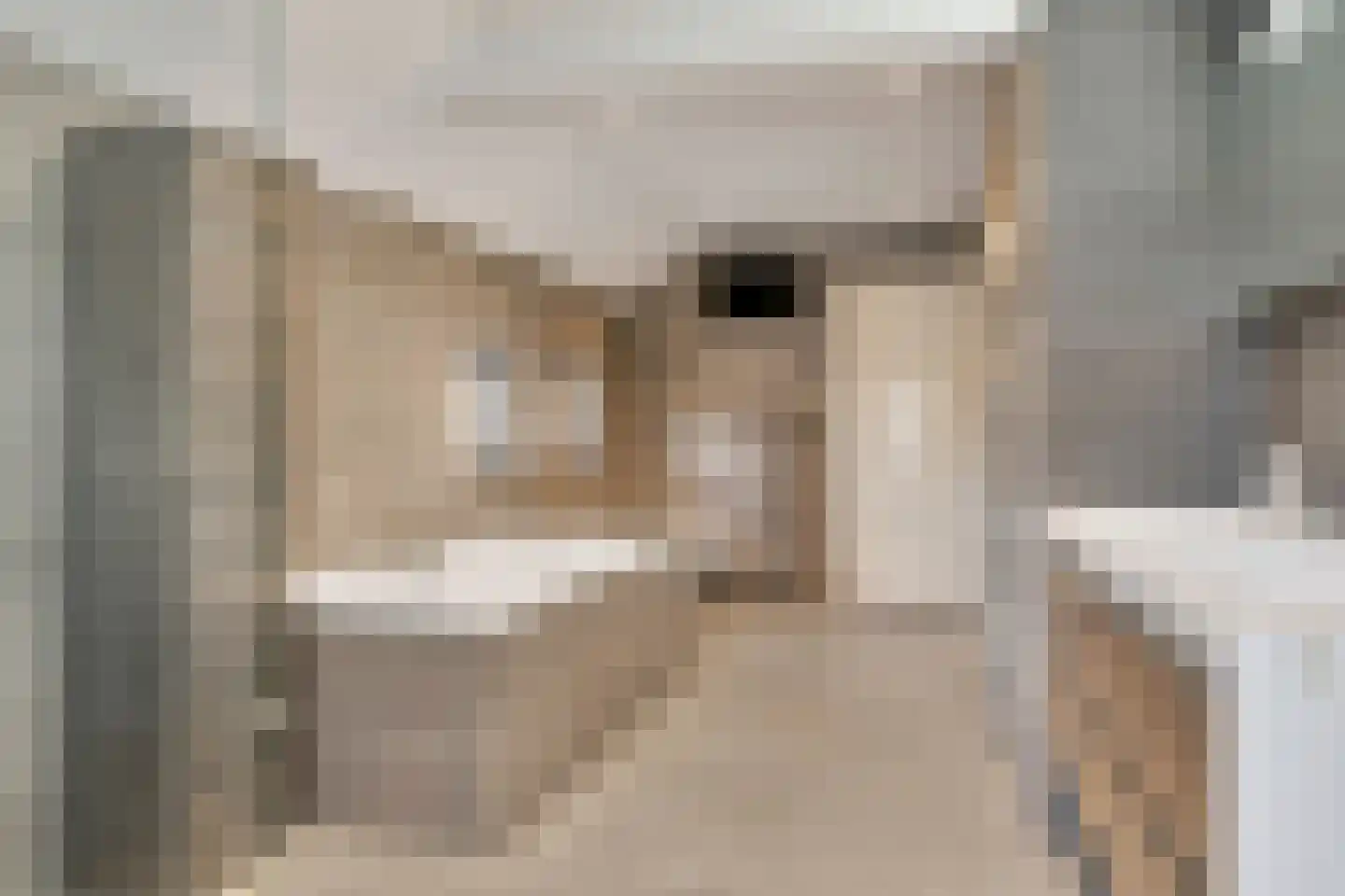 Spijt 2 Sint-Michielsgestel thumbnail 30