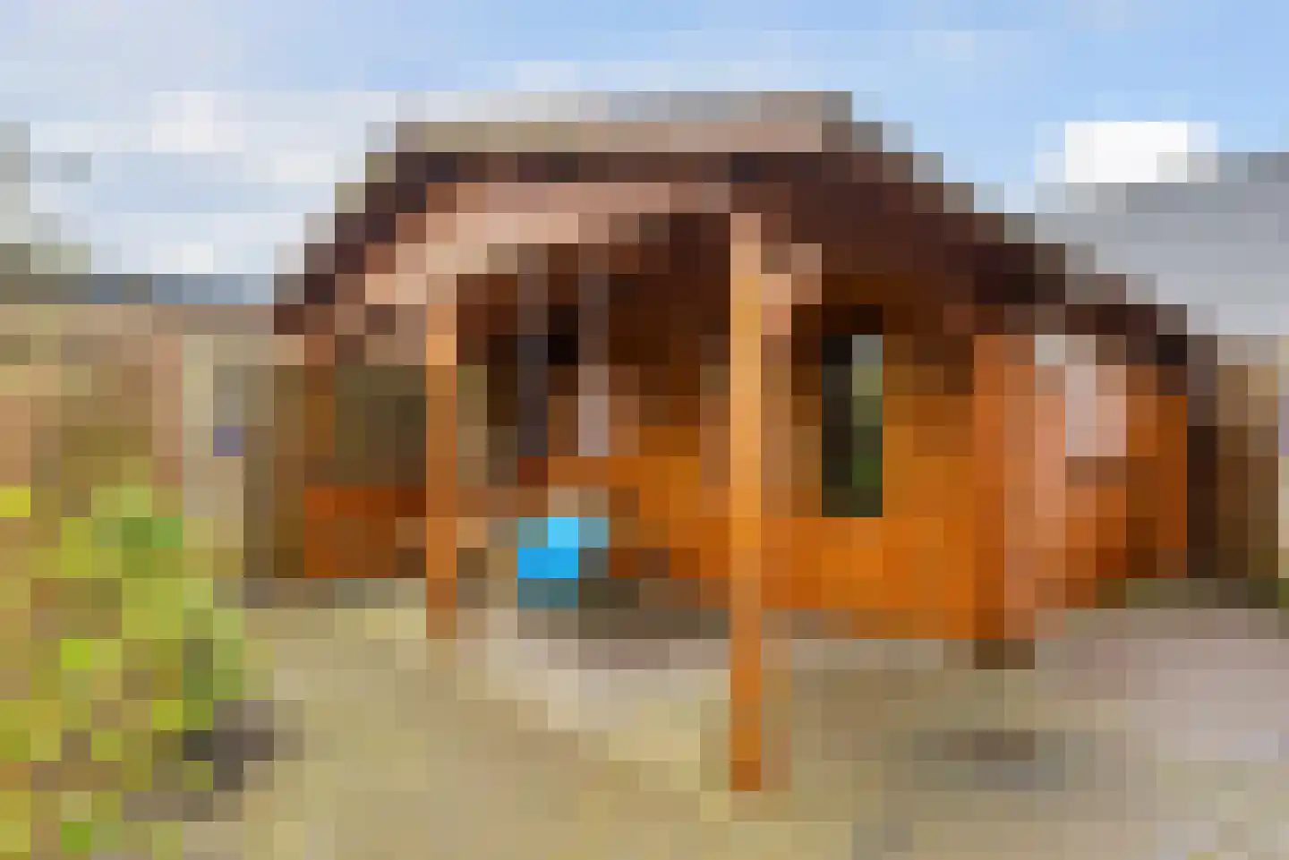 Spijt 2 Sint-Michielsgestel thumbnail 38