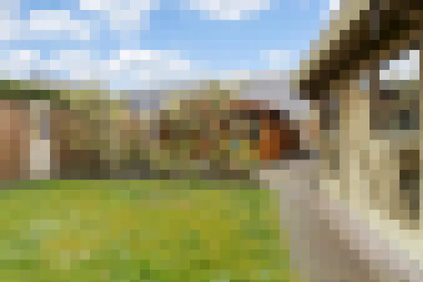 Spijt 2 Sint-Michielsgestel thumbnail 39
