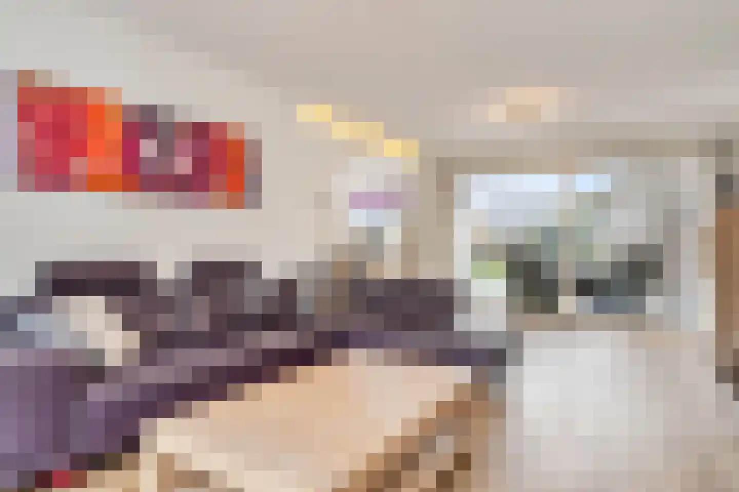 Spijt 2 Sint-Michielsgestel thumbnail 7
