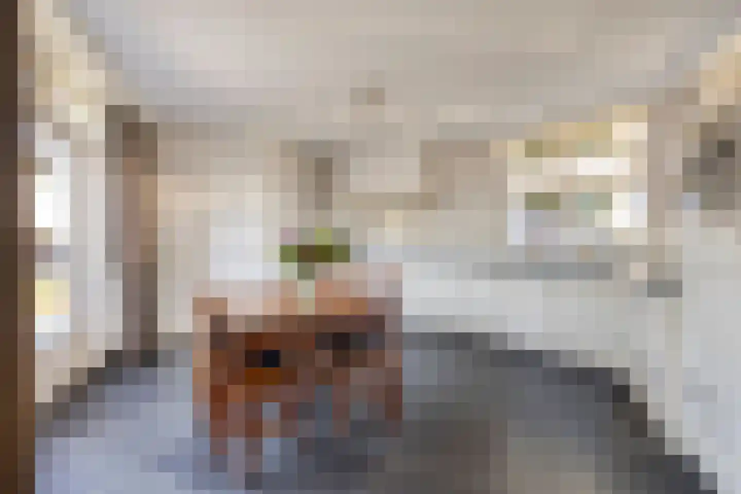 Spijt 9 Sint-Michielsgestel thumbnail 10