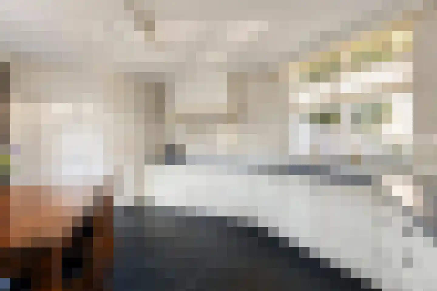 Spijt 9 Sint-Michielsgestel thumbnail 11
