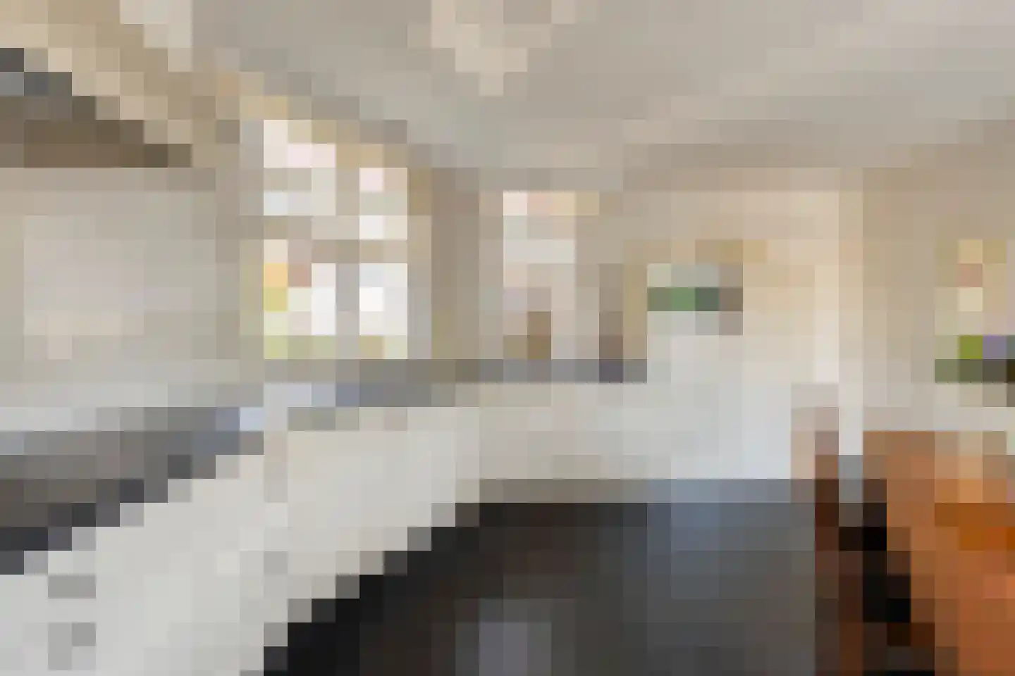 Spijt 9 Sint-Michielsgestel thumbnail 12