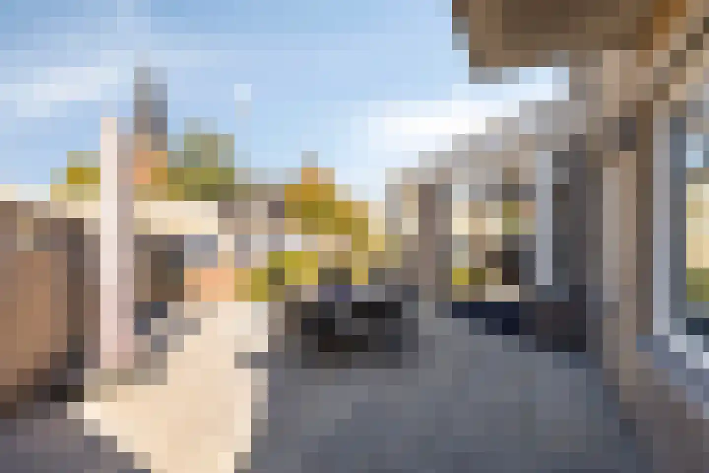 Spijt 9 Sint-Michielsgestel thumbnail 14
